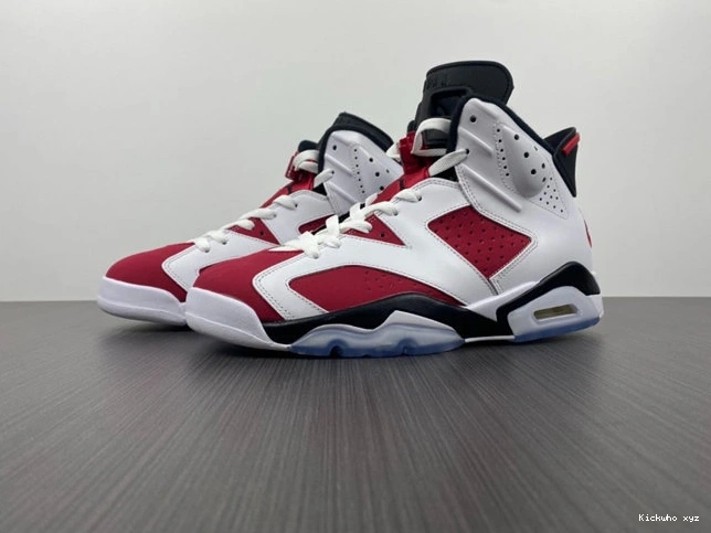Carmine CT8529- Sleek 4032  Jordan6 1029